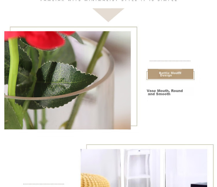 Shengshi Taibao Glass Vase Transparent Lucky Bamboo Hydroponic Container Large Straight Cylinder Vase for Living Room Table Decoration Model 1020 13