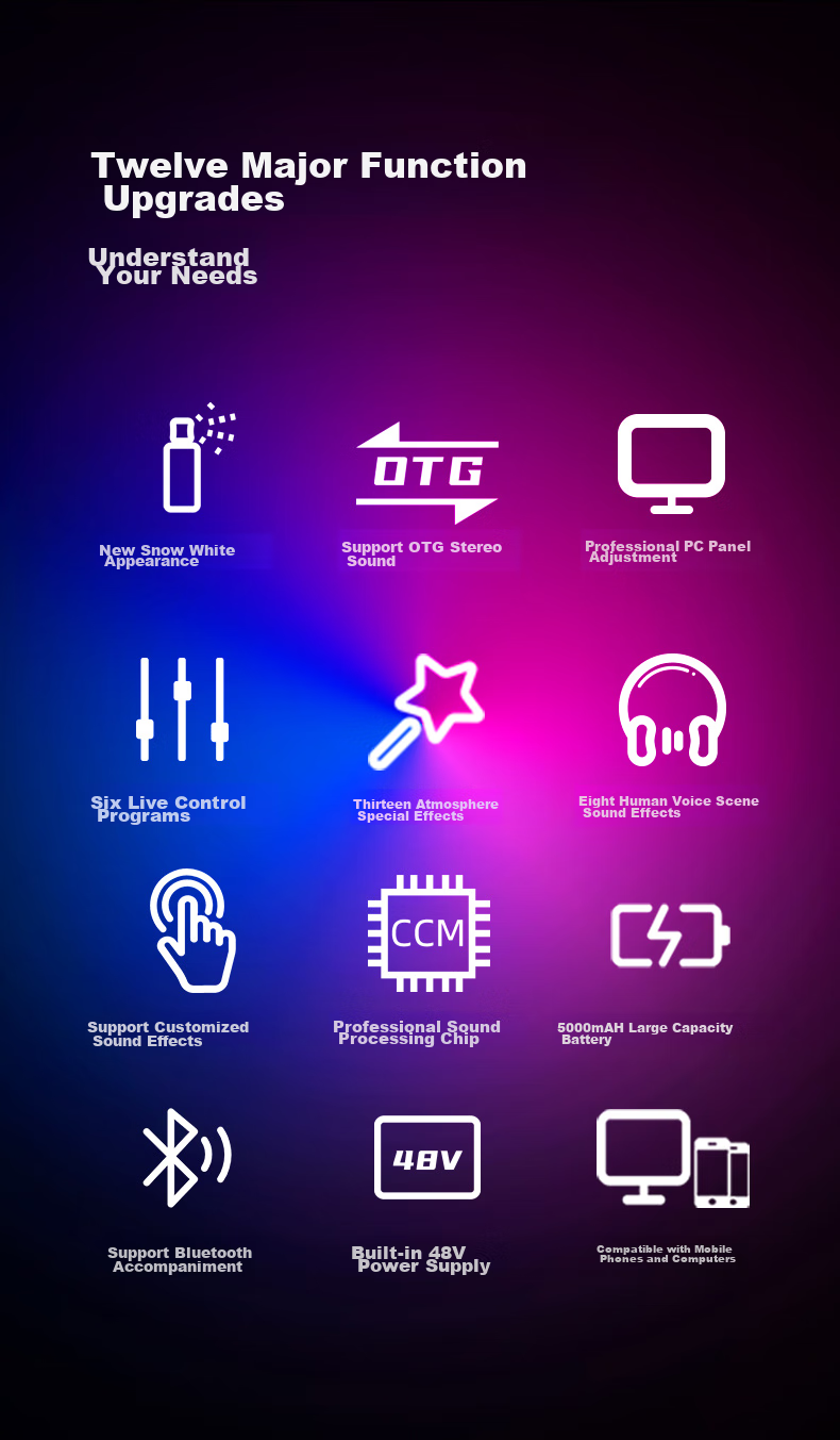 Seeknature ST20 Sound Card E300 Microphone Set for Live Streaming, Singing, Tuning, Mobile Phone And Computer Use, Popular Live Streamers, Karaoke, Recording Equipment with External Condenser Microphone Complete Set 3