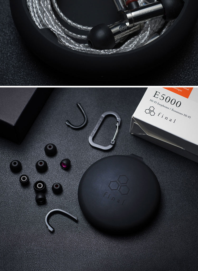 FINAL E5000 Dynamic In-Ear Headphones, Dynamic Earphones, HIFI Earphones, Replaceable Cable, Stainless Steel Shell, Silver Color 7
