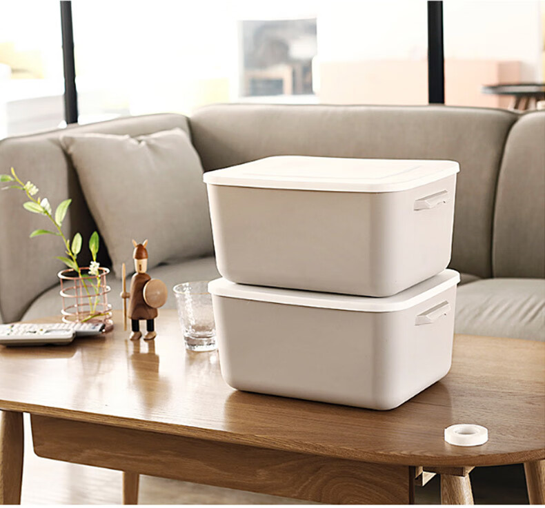 Youjialiangpin Plastic Storage Box, Clothes Organizer, 20L*2+10L*2, Khaki Color, with Lid, Insect-Proof, for Home Use 17