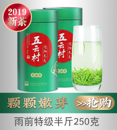 【2018新茶上市】五云村信阳毛尖 茶叶绿茶 雨前嫩芽125...