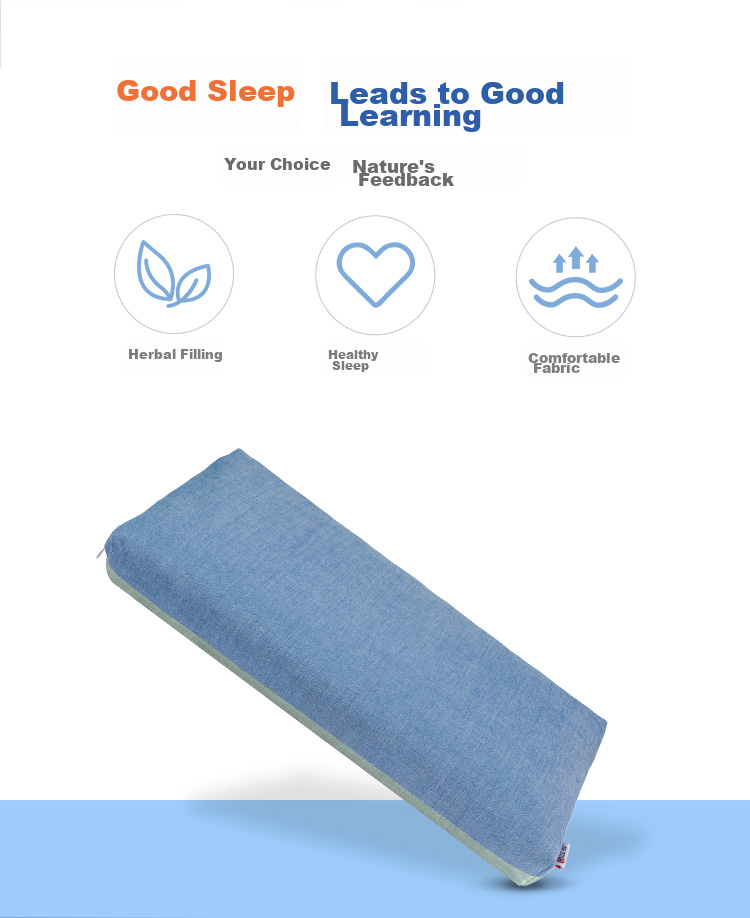 Shuguoyu Children's All Buckwheat Pillow, Youth Student Sleep Low Pillow for Ages 6-15, Comfortable Sleeping Pillow, Muxian Blue Color 3