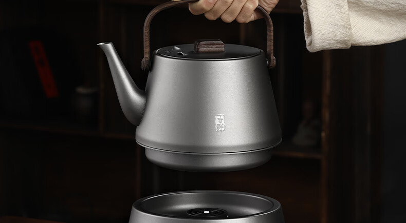 Biooner Fully Automatic Electric Kettle Water Boiler Tea Maker with Integrated Tea Table And Coffee Table for Brewing Tea And Coffee, Titanium Gray with Handle Steel Pot 13