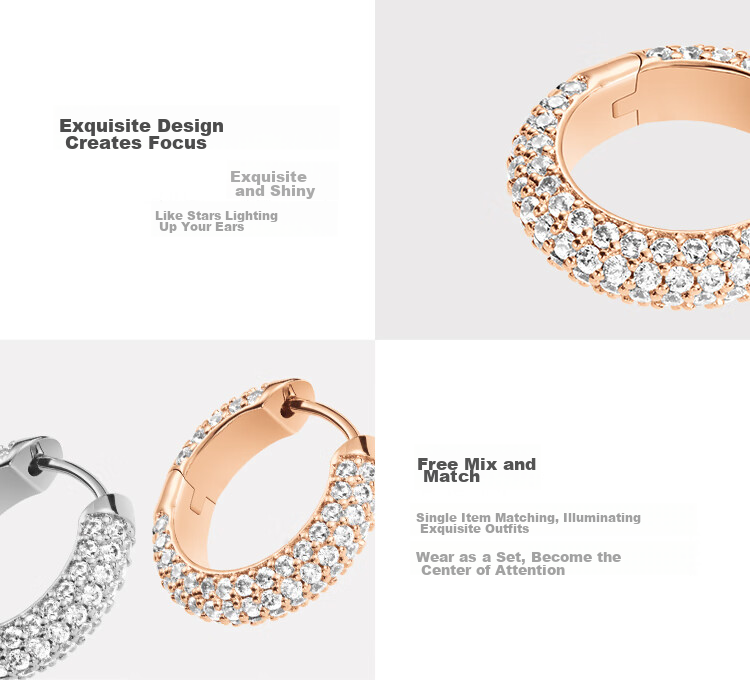 DanielWellington [Same As Ma Sichun], DW Earrings for Women, Starry Zircon Rose Gold Stud Earrings, Birthday Gift for Girls 6