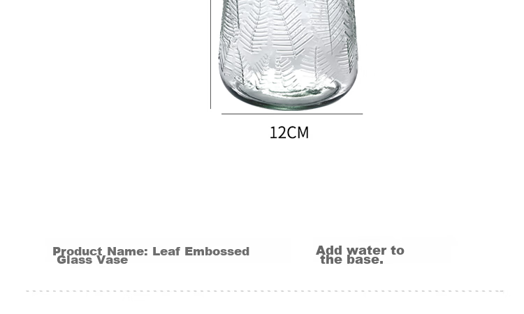 Jidukongjian Glass Vase, Flower Arrangement Vase, Hydroponic Plant Ecological Bottle, Transparent Desktop Vase for Living Room And Office Desk, Home Decor Ornament 12