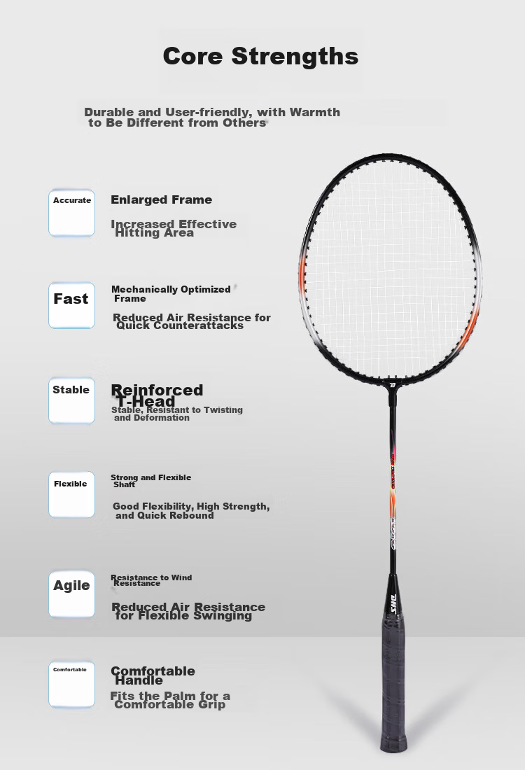 DHS Badminton Racket Set, Alloy Racket 1010 (Random Packaging, New Or Old) 3