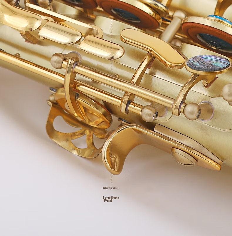 Bullfighter Saxes Instrument, Bass E-Flat Tuning, Double Reed Band, Professional Performance, Grading Exam, Universal Use 10