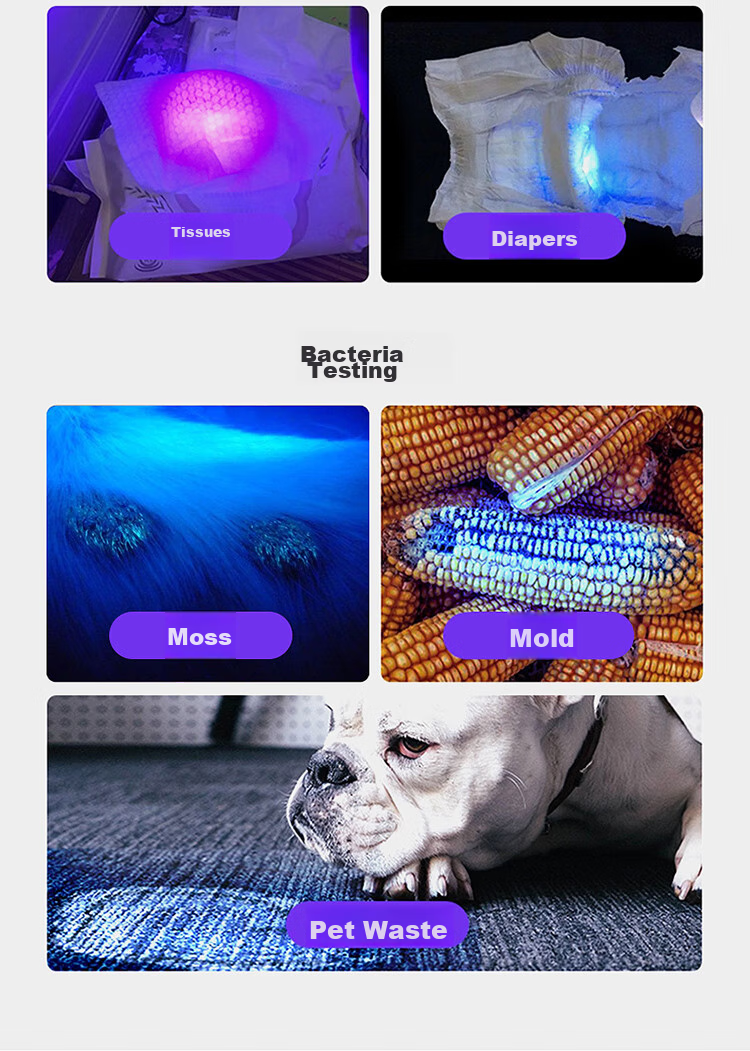 SupFire Cat Ringworm Light Fluorescent Agent Vegetable Detection 365 Ultraviolet Light Rechargeable Flashlight Anti-Counterfeit Currency Detector 12