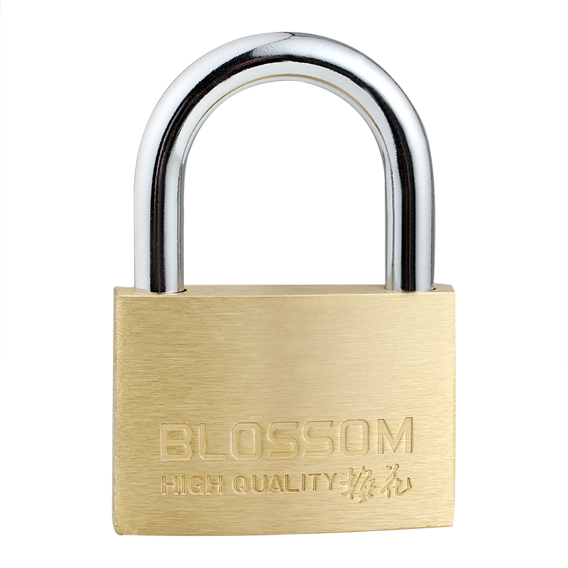 BLOSSOM Copper Padlock, Waterproof And Rust-Resistant Household Lock, Dormitory Lock for Cabinets And Doors, Anti-Theft Window Lock, 55mm (076)