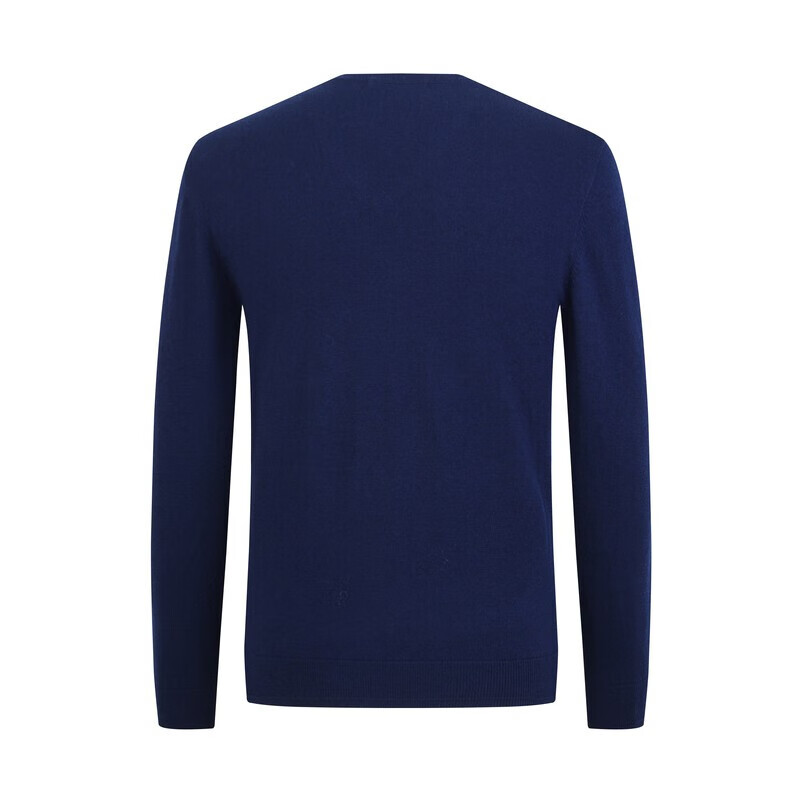 YOUNGOR Sweater for Men, Autumn And Winter Youth Woolen Sweater, VYQW639998HVA, Blue, 95cm