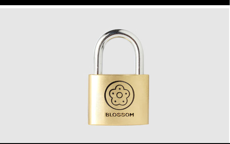 BLOSSOM Copper Padlock, 30MM, Anti-Pick, Rust-Resistant, Durable, Brass Lock Core, Cabinet Lock, Drawer Lock, 9030 5
