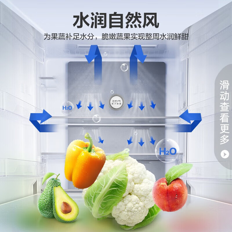容声【离子净味】609升变频一级能效对开门双开门冰箱家用无霜离子除菌BCD-609WD11HP 【水润自然风 CCA离子净味】