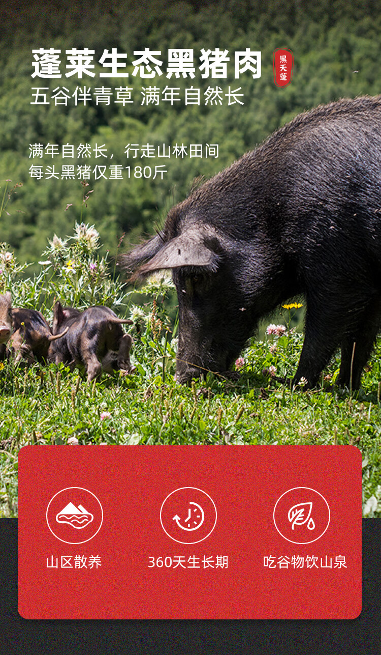 出口日本级，龙大肉食  国产生态黑猪猪肋排 400g*3件 71.76元（23.92元/件） 值值值-买手聚集的地方