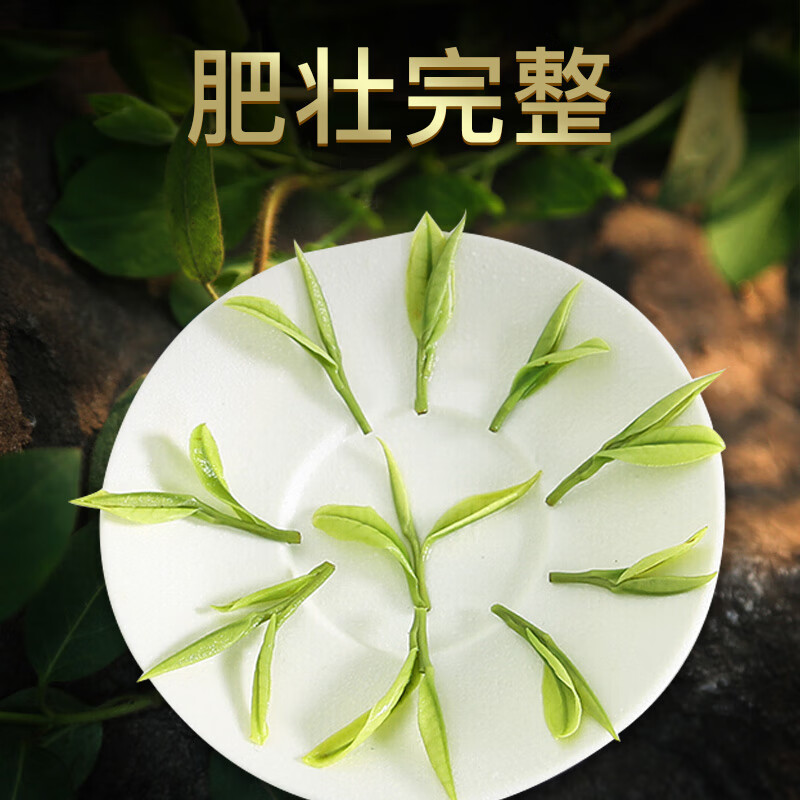一杯香茶叶绿茶明前安吉正宗白茶200g新茶礼盒装送礼自己喝散装茗茶