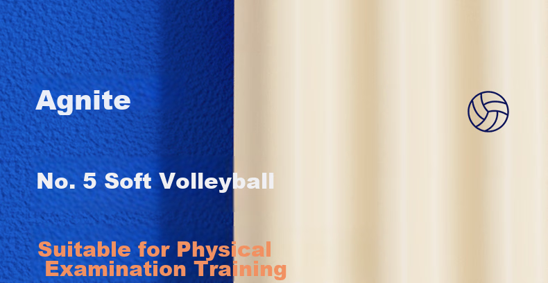 Deli Elementary School Volleyball, Size 4 Youth Exam Sports Elastic PU Wear-Resistant Training Volleyball 1