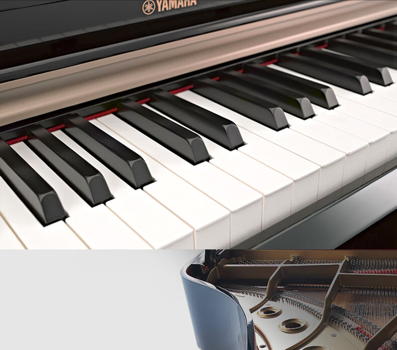 YAMAHA Upgraded YDP165R88-Key Weighted Hammer Adult Professional Exam-Grade Upright Digital Piano 3