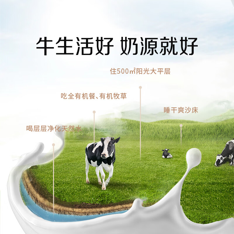 圣牧有机纯牛奶 品醇200ml*12盒 口感清爽 纯净有机 送礼礼盒