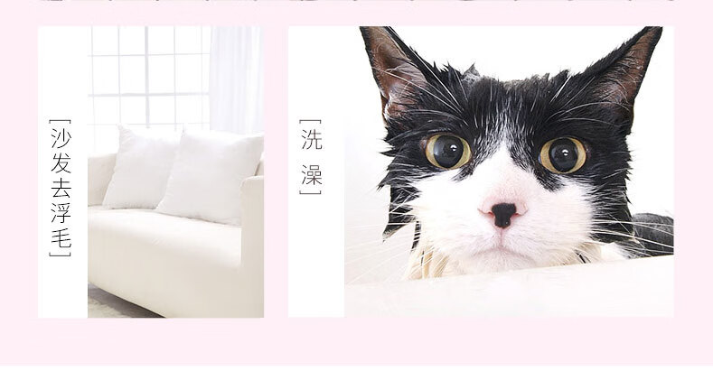 撸猫手套_11.jpg