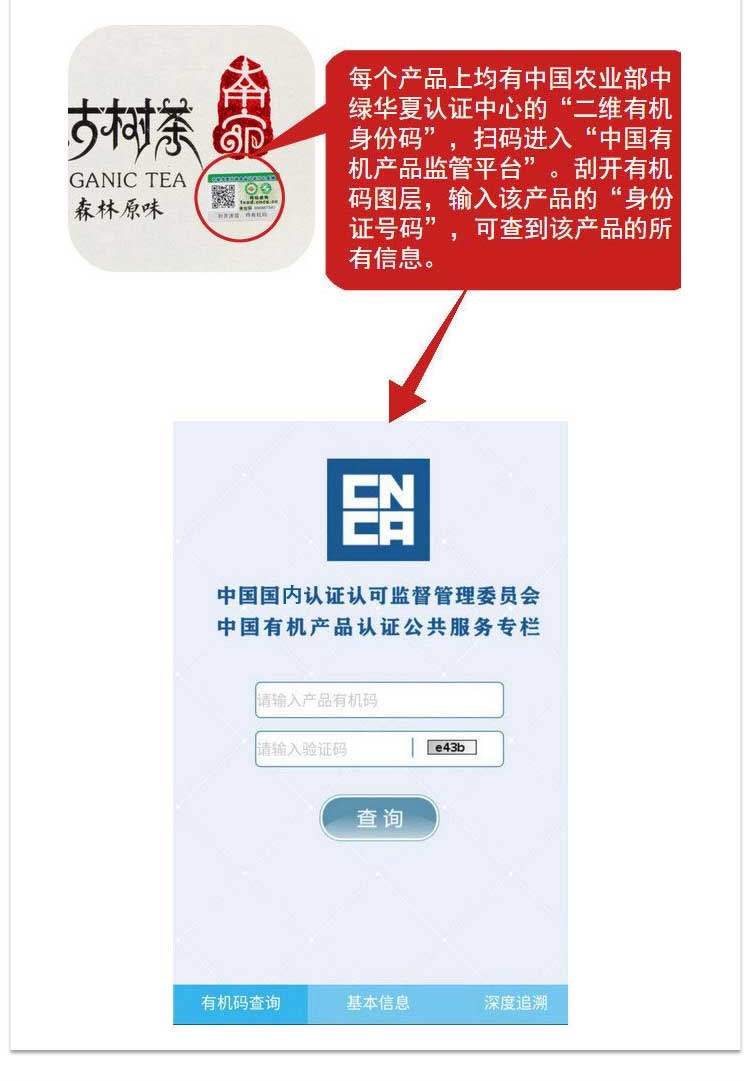详情-12.jpg