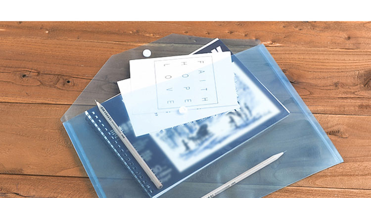 DiLe Premium Series A4 Transparent Button File Folders/document Folders/archive Folders, Office Stationery, Pack of 10, 1411 White 6