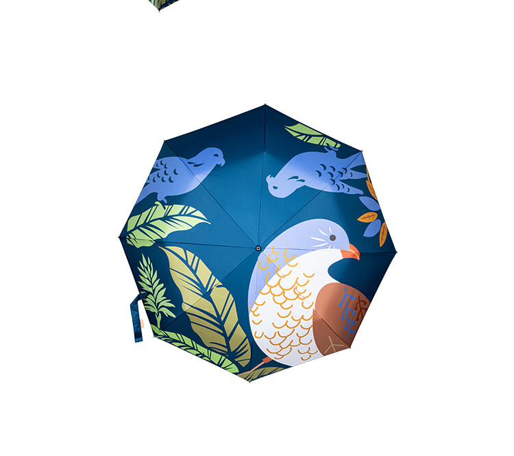 Marie Claire Long Handle Umbrella with Curved Hook And Straight Ribs, High-Quality Women's Umbrella, 8 Ribs Windproof, Dark Blue 13