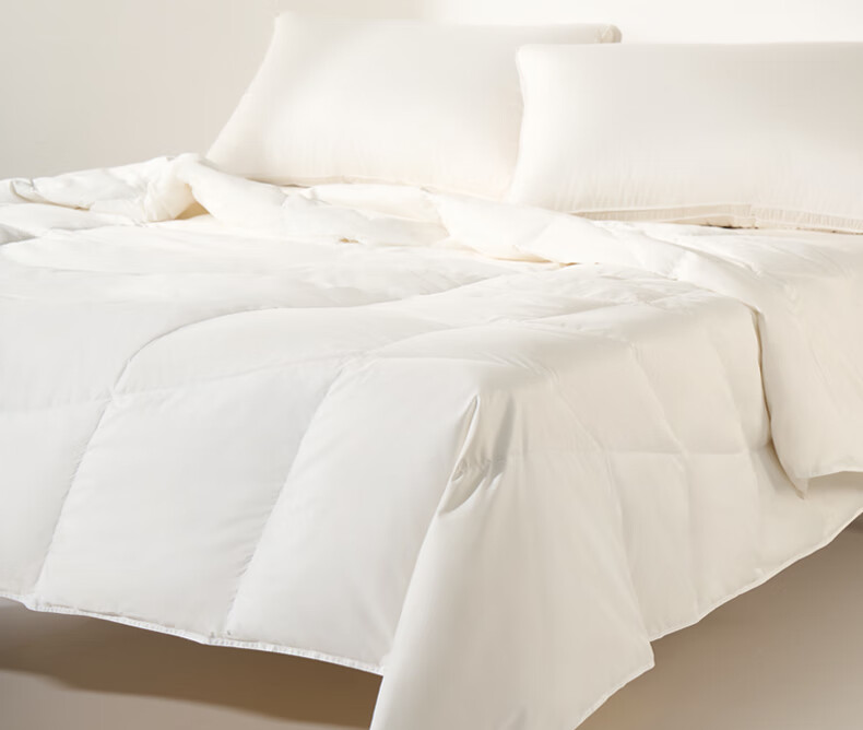 Interlagos Class A 90% White Goose Down Comforter, Imported from Japan, Air Conditioning Quilt, 280g, 200*230cm, White 21