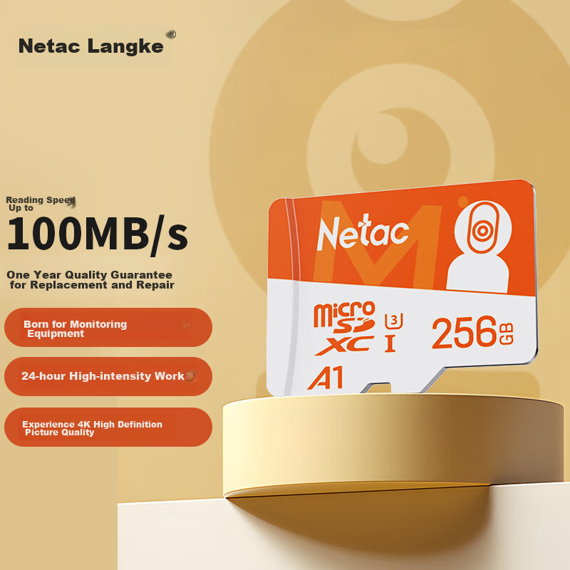 Netac 256GB TF (MicroSD) Memory Card A1 U3 4K Compatible with Xiaomi Surveillance Cameras & Dash Cams, Professional Monitoring Pro Versio