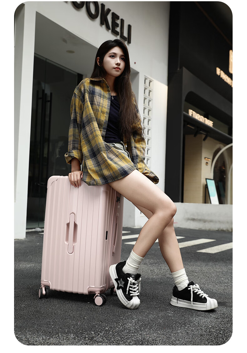 LEXON French Brand Large Capacity 26-Inch Suitcase, Business Travel Luggage, Spinner Wheels Trolley Case, Student Password Lock Suitcase 19
