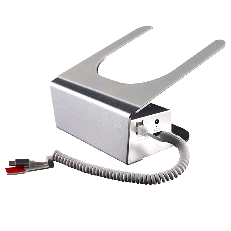 LFang Tablet Anti-Theft Display Stand, Anti-Theft Alarm, Tablet Anti-Theft Chain with Type-C Interface, Small