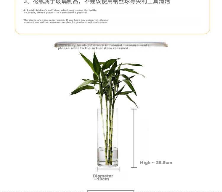 Shengshi Taibao Glass Vase Transparent Lucky Bamboo Hydroponic Container Large Straight Cylinder Vase for Living Room Table Decoration Model 1020 5