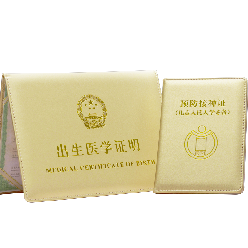 DSB Birth Certificate Protective Cover + Vaccination Record Book Cover, Baby Medical Document Outer Case (Set of 2), Thickened, Gold Color