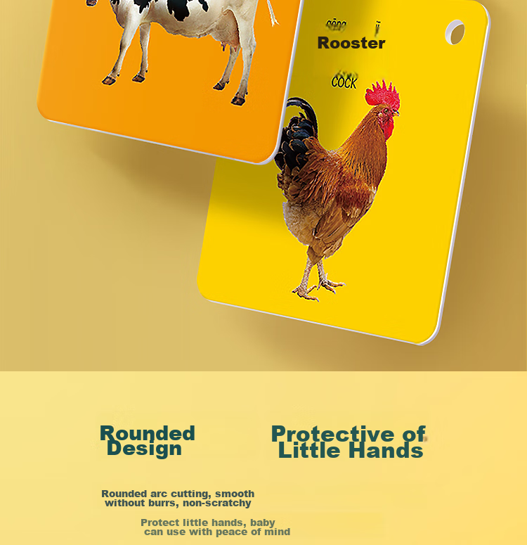 Dipuer Colorful Cards for Baby's Early Education, 3-6 Months Cognitive Cards, Picture Recognition Cards, Animal Cards, Object Recognition Cards 11