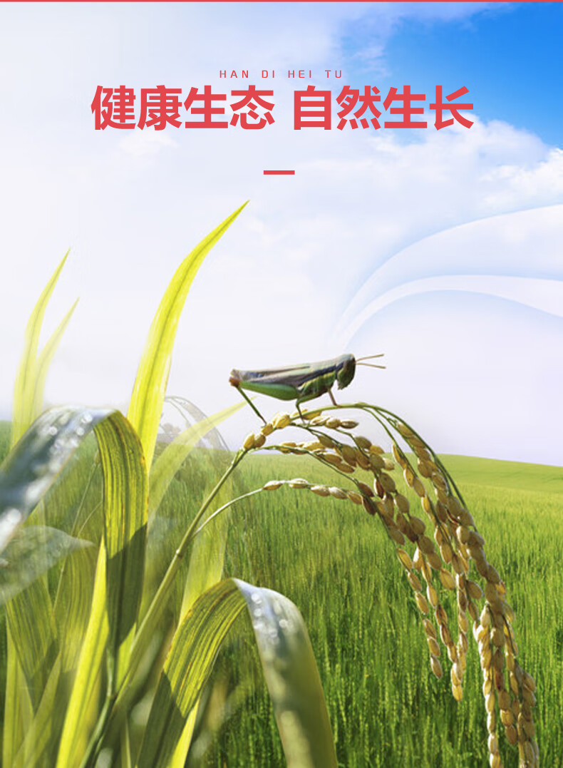 详情图.png