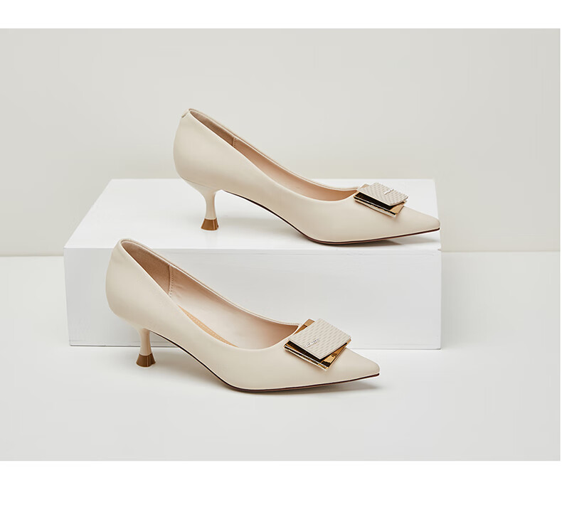 DAPHNE Elegant High Heels for Women, Pointed Toe, Stiletto, Shallow Mouth Pumps, Versatile Work Shoes 4623101023 Beige 36 23
