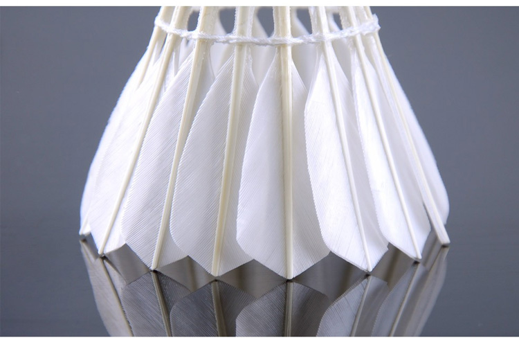 RSL Badminton Training Practice Competition Shuttlecock, DTL-81, Speed 76, 12 Pieces Per Tube 6