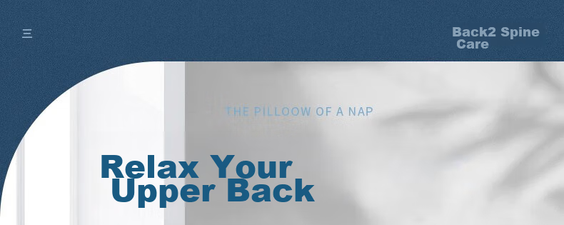 Back2 Lumbar Support Cushion for Office, Ergonomic Back Pillow, Long-Sitting Aid, Car Seat Cushion, Waist Pillow 1