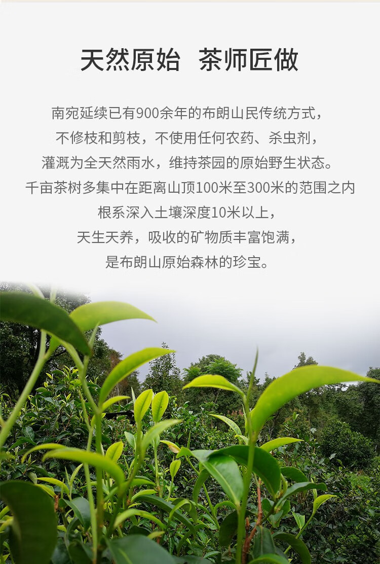 炫彩-4.jpg