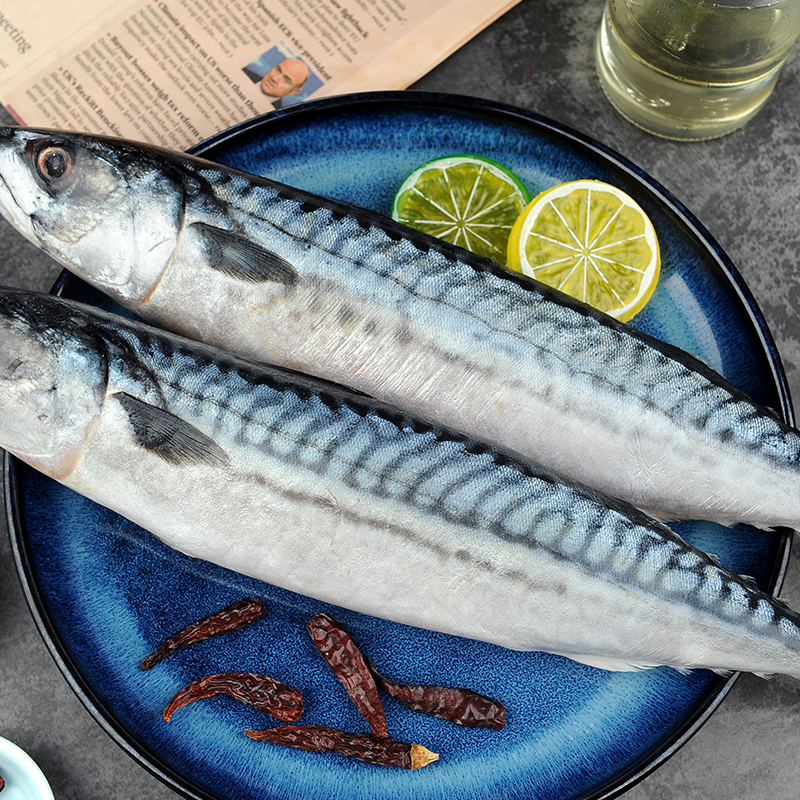 纯色本味 冷冻青花鱼(鲭鱼）2斤 烧烤食材春节也送货春节也送货