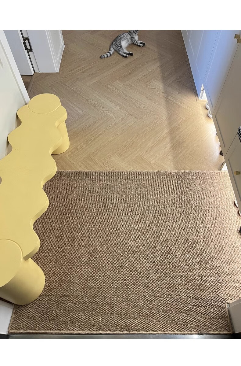 BULULOM Entrance Door Mat Sisal Imitation Carpet Door Mat Foot Mat Camel Yellow - Sisal Imitation - Cotton Back 50*80cm 27