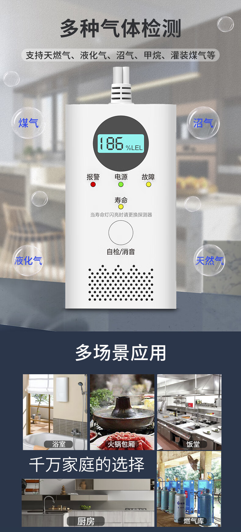 PGST Carbon Monoxide Alarm, CO Detector, Coal Boiler Charcoal Warning Device, Gas Leak Detection Alarm, C06 1