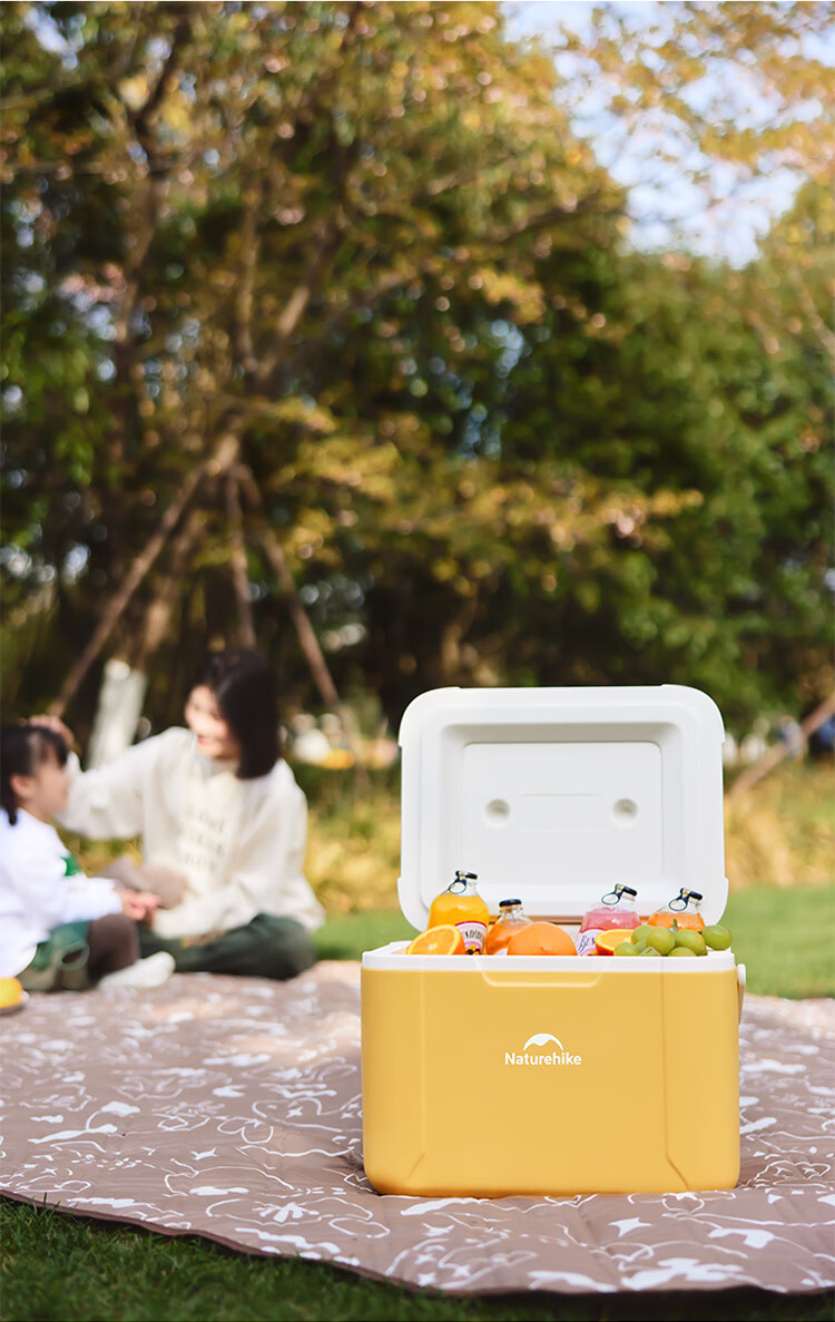 Naturehike Insulated Cooler Box, Ice Storage Box, Outdoor Camping Cooler, Portable Car Refrigerator, Large Capacity 18L 17