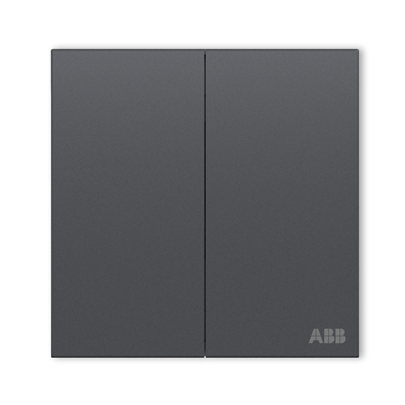 ABB Switch Socket Panel, Yingzhi Series Gray Two-Gang Single Control Double Switch Single Control Switch, CA102-MG