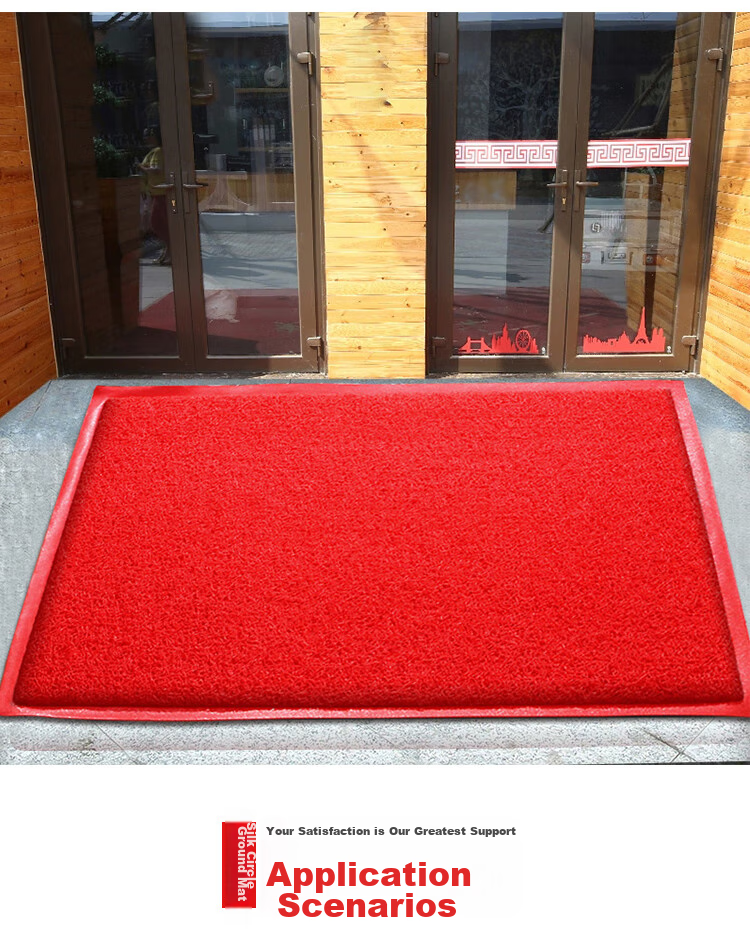 DIYIN Entrance Door Mat, Welcome Doormat, Waterproof Loop Pile Mat for Main Doorway, Non-Slip Mat, Red without Text, 50*70cm 6