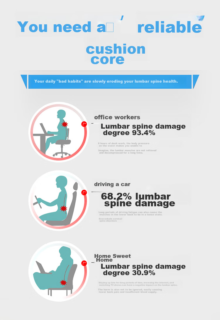 AVIVI High-Elasticity Sofa Cushion Core, Square Pillow Core Car Backrest Cushion Core Lumbar Support Core Bedside Backrest Pillow Core 50*50cm Single Piece 2
