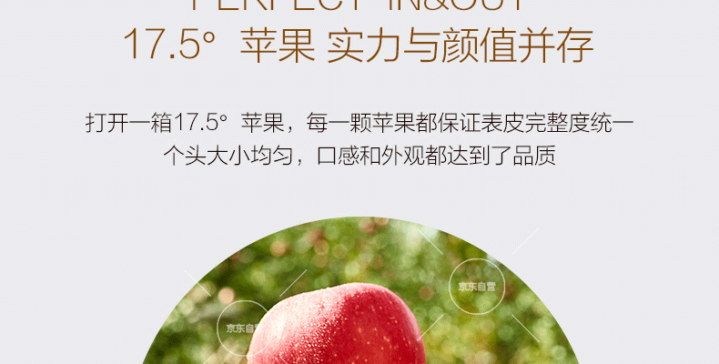农夫山泉 阿克苏冰糖心苹果 单果径约80-84mm 15个装*3件 图8