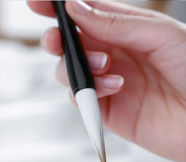 Rongbaozhai Calligraphy Brush, Mixed Hair Soft Brush for Calligraphy Practice in Large, Medium And Small Regular Script, Four Treasures of The Study, Chinese Painting Copybook, for Adult Beginners And Students, Beginner Mixed Hair - Large 13