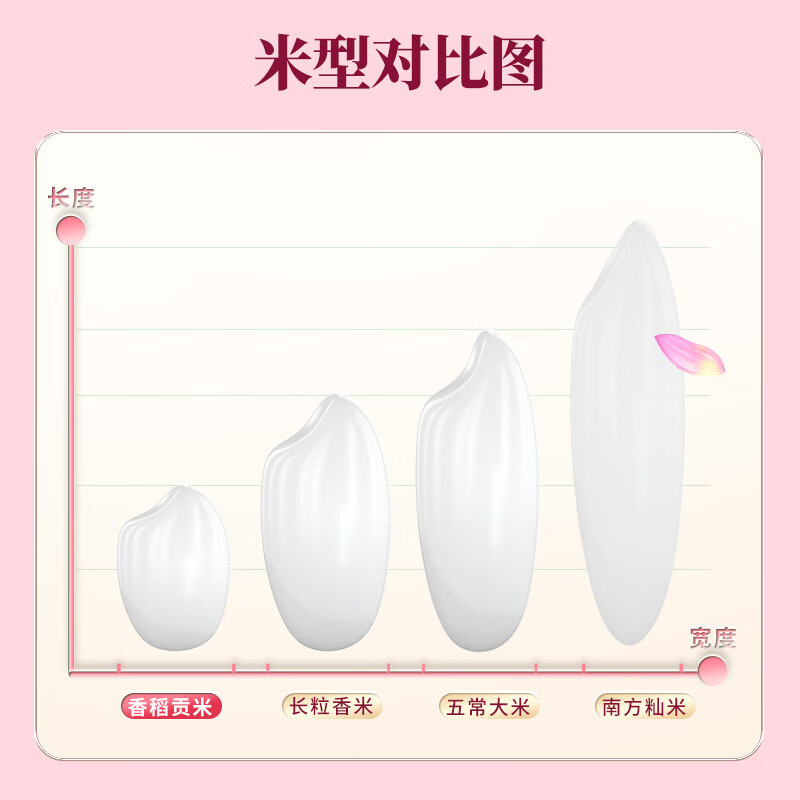 十月稻田 十月稻田 当季新米 香稻贡米 东北大米 5kg（香米 粳米十斤）