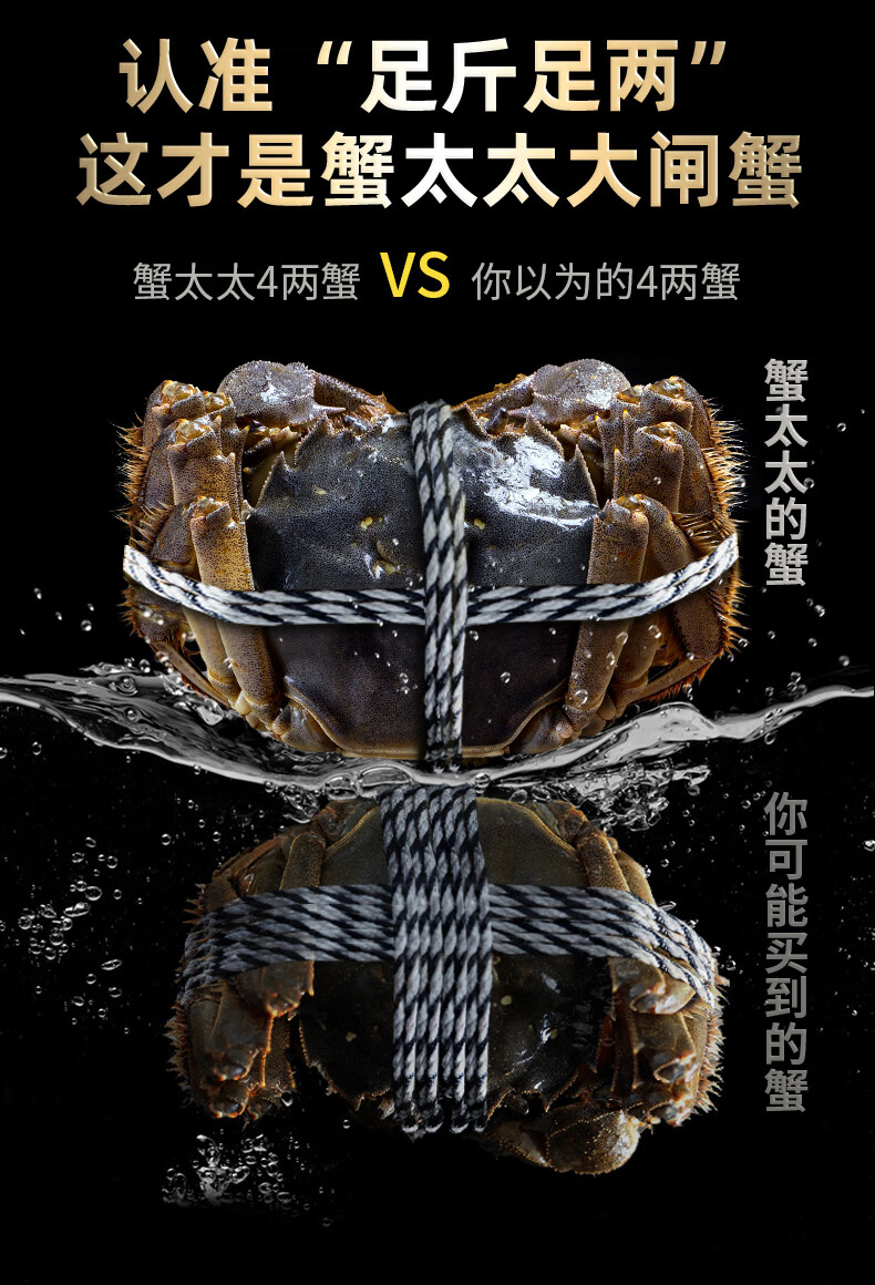 【蟹太太鲜活大闸蟹】【活蟹】蟹太太 鲜活大闸蟹 公蟹3.8-4.