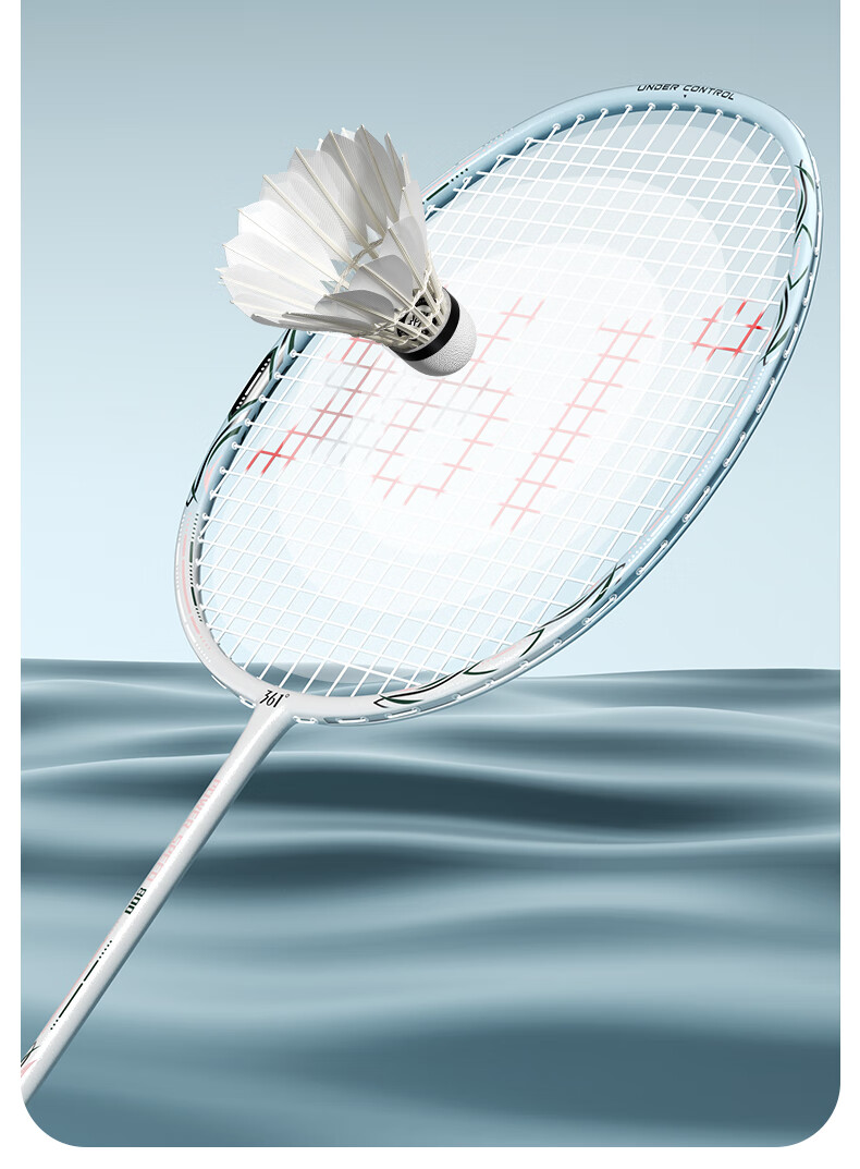 361° Ultra-Light Full Carbon Badminton Racket, Single Racket, High-Power Offensive Type, Pre-Strung Finished Racket 9