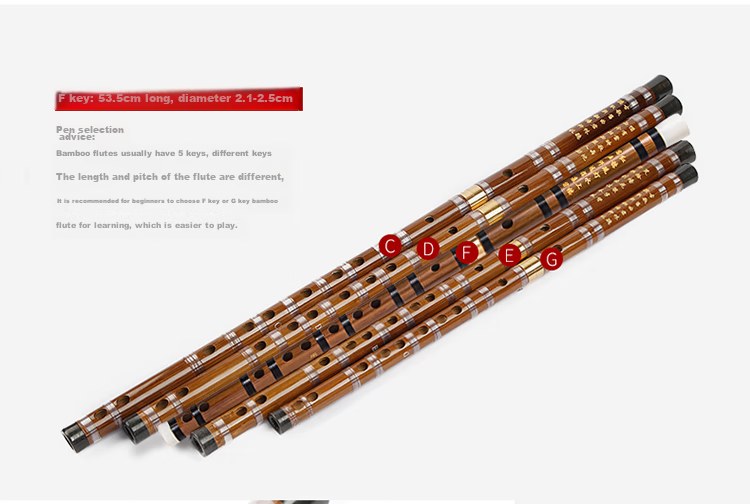 Xiangsiniao Single-Insert Brass Flute, E Key Flute, Bitter Bamboo Flute, Transverse Flute, Student Flute for Beginners, XS1001 13